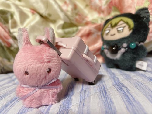 ぬし さすがに はこぶのは むずかしのやつ だから おひこし の とき は おかばん はこんで ほし…
おみみ もげちゃうかも しれぬから ね