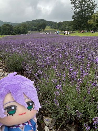 きのう はじめて おでかけしたひと ふたりめさん
きせつ かんじられて うれしそう！