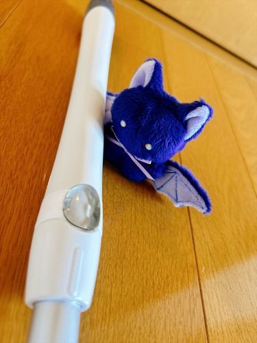 もちろん ただ はこばれるだけではない おれだ。

ぬしの しんきょの そうじを
おてつだいしたぞ。

しかし おれは からだが ちいさいので
あまり やくにはたてなかったな。

ふがいない。