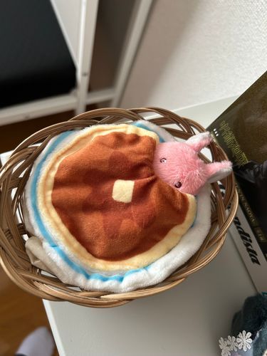 ぬしが あたらしの おうちに
うさぎつねちゃんの べっど
もってきてくれたのだ
ひとあしおさきに すやすや にこり