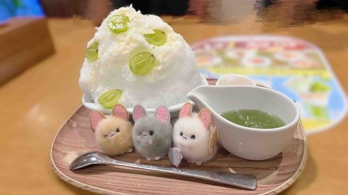 しゃいますかと の かきごおり