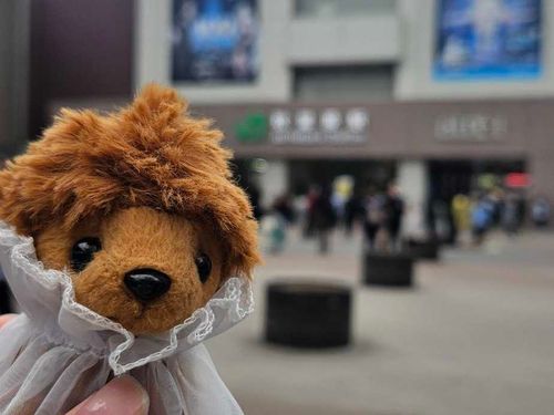 ちーたん、秋葉原だよ。秋葉原、ちーたんだよ。