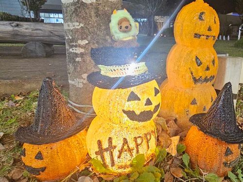 ハロウィンなのでかぼちゃに会いました🎃🎃