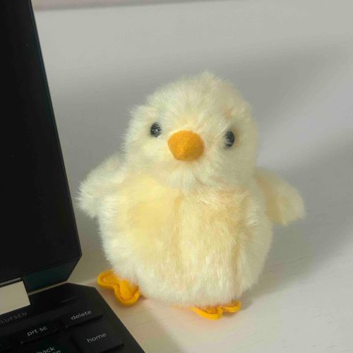 のりたまちゃん🐣