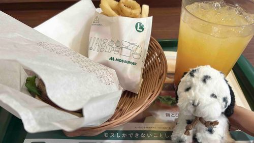 数年ぶりにモス食べた