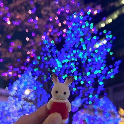 きらきらー🌟♩