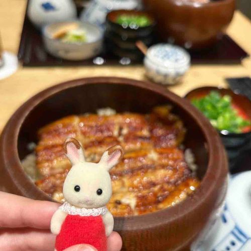 うなぎもきらきらー*.+ﾟ♩