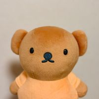 ぼりすさん