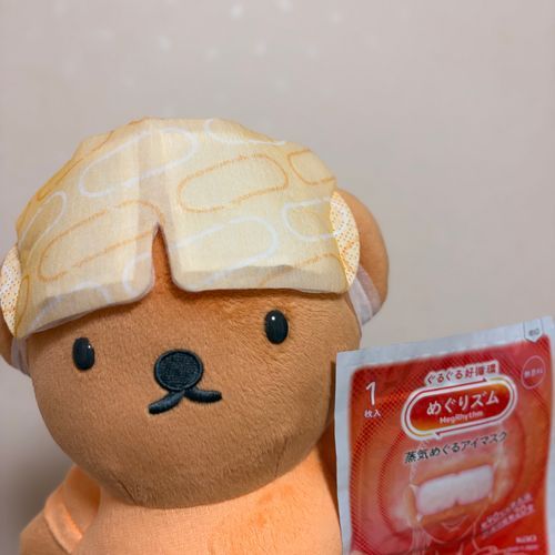 ぼりすさんとおやすみ💤