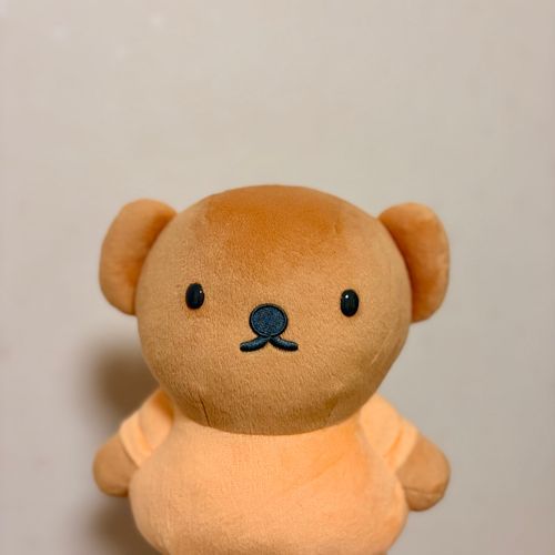 一昨日我が家にやってきたぼりすさん🧸