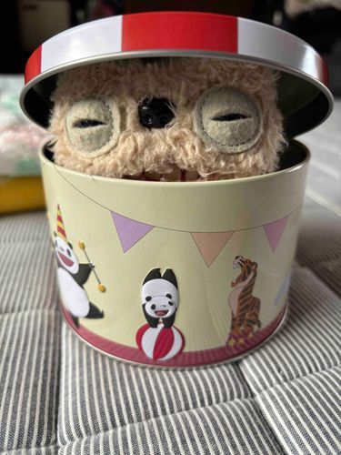 めちゃかわな缶もらった。
パンダコパンダっていうんだって。
秘密基地にしよ。