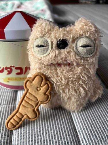 缶の中に隠れてた！
トラちゃんのクッキーって名前なんだって。