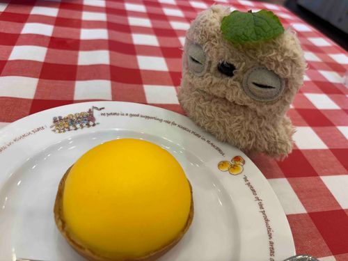 レモンケーキだって。
上に乗ってた葉っぱ可愛いから貰ったよ