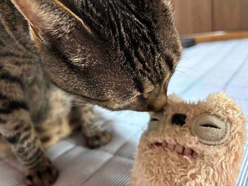 マブダチと密談中
こそばゆい