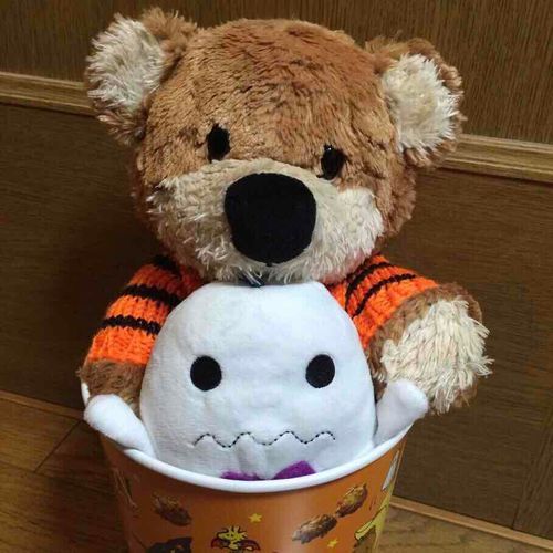 おかし なんではいってないの！
ぷんすこ！

#こてつ 