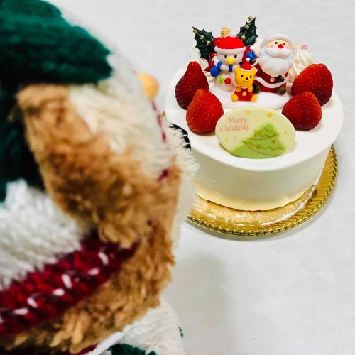 ぼくがいっぱいなやんで えらんだケーキ😋
　
#こてつ 
　