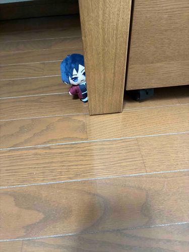 |ω･)ｼﾞｰｯ

あわわ見られてる…
警戒心強いなぁ……

おまえのなはなんだ？

名乗るのはいいけどネット上では呼ばないでね？

҉  ﾊﾟｯ

なんで〜？