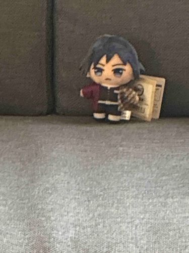 明日、お出かけするけどついてくる？

いかないというよりずーむをするな。

え？ズームって誰から学んだの？


もりさわさんだ。

え