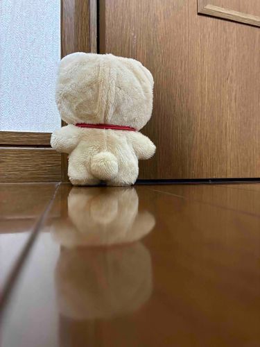 これはきょうとあしたおしごとのあるじさんについていこうとしたけど
「カバンに入ったまま暗い部屋で待つことになるからダメ。暖かい部屋でお留守番してて」
といわれておいていかれたせんぱいのせなかです。

みなさんはいいとしをむかえてくださいね。
もりさわせんぱい、そこにいてもあるじさんはかえってきませんよ。