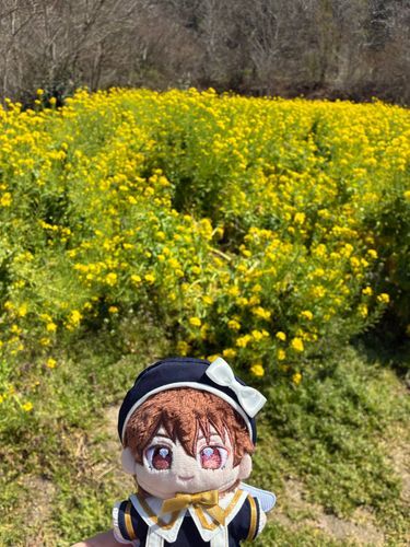 きょうはあるじさんのおたんじょうびだったぞ！！おめでとう！！
なのでりょこうにいって、あるじさんといっしょにおいしいものをたくさんたべた！！！

りょかんのひとにせいかたいのふくをきていたら「かーどきゃぷたーさくらのこですか？」ってきかれたぞ？あるじさんはすごくわらっていたがかーどきゃぷたーさくらってなんだ？