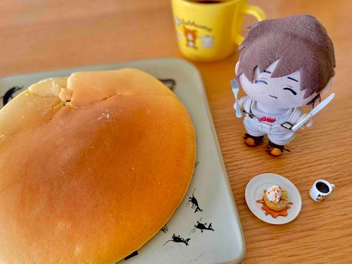 さては、ひっくりかえすの
しっぱいしましたね……？