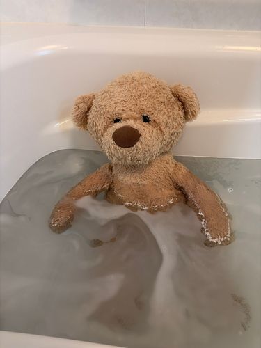 お風呂に入ったうちの子