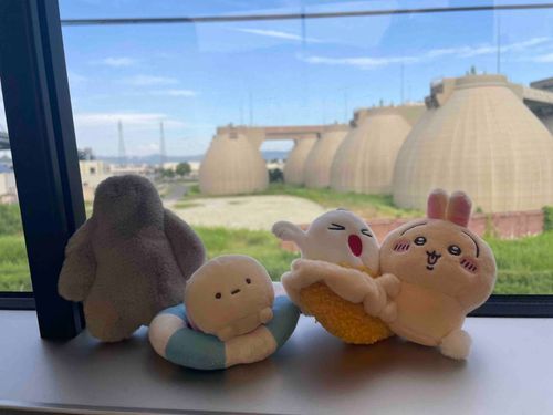 わいわいとっきゅうたのし