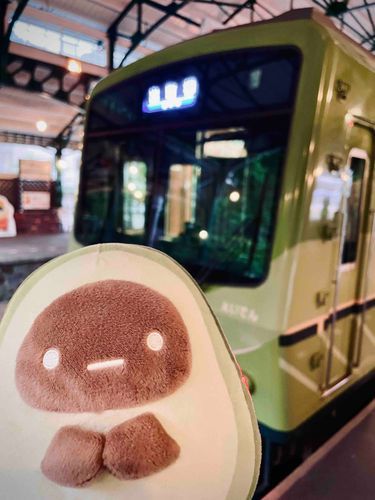 おなじいろのでんしゃみつけた