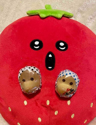 どじょ〜すくい〜