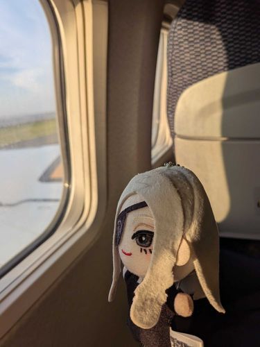 御旅行ぬいぴこ