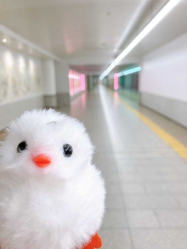 地下をゆく