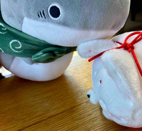 サメに耳をかじられておるぞ！？妾の麗しい耳を食べるでない！