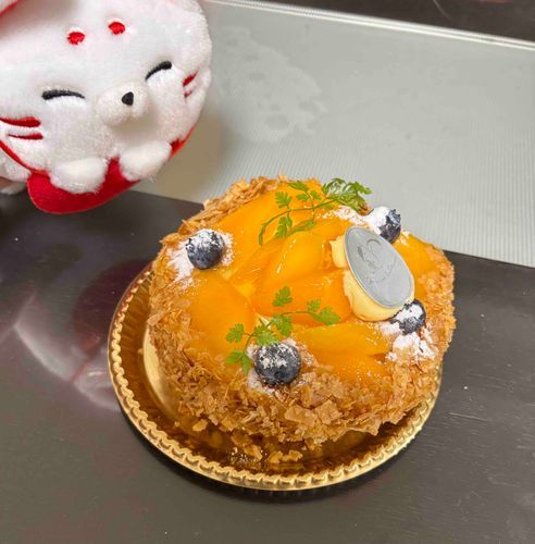 ふふん！奮発してケーキを食べたのじゃ〜🥰
マンゴーぎっしりで高価な味がしたぞよ🥭夏って感じのタルトだったのじゃ^>ω<^
