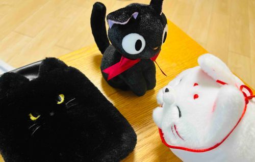 今日は黒猫達に出会ってきたぞい🐈‍⬛
