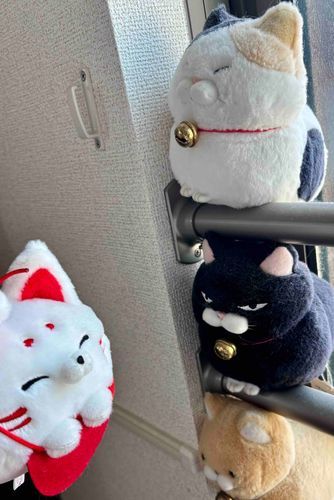 ふくふく3兄妹とは仲良しなのじゃが、しばらくぶりでのう〜話が弾んだのじゃ🥰