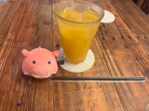 パインジュースなんだってぇ〜〜とっても甘くてとろとろでぇ〜おいしかったなぁ〜