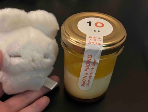 旅行記録その4
こここちらは！お宿まで持ち帰ってきたみかんプリンでございますっ！！あ、甘さがくどくなくっ！非常に食べやすかったですっ！