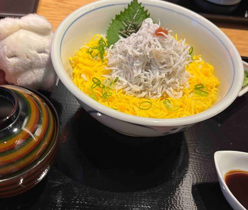 旅行記録その13
こ、こちらは帰る直前に食べたしらす丼でございますっ！お味噌汁もついて、しらす丼もかなり大きくて大変美味でしたっ！！