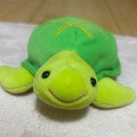ぽてかめ