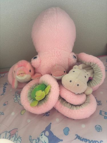 じゃじゃーん！！！！
この子達はみーんなぽてかめのお友達💞
みんなおしゃべり大好きなの💖
～お友達の紹介～
大きなたこさん🐙🩷️→かぬれちゃん
かばさん🦛🩷→いくらどんちゃん
いるかさん🐬🩷→ぴんきゅちゃん
いちばんちいさいくじらさん🐳🩷→くくちゃん
時々お写真うつるときあるから覚えてくれると嬉しいな🐢💕💕