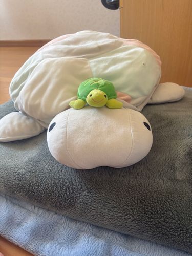 お盆なのでおじいちゃんおばあちゃん家に帰省🏠ぽてかめも着いてくよ🐢...
バーベキューしたり、お誕生日パーティしたり...お坊さんがおうちに来たり、
充実したお盆だったよ✨️台風が不安だったけど、どっか行ってよかった☺️
この写真はおじいちゃんおばあちゃん家にあるおっきなかめさんと一緒にお写真撮った時の💖ぽてかめのことを可愛がってくれる優しいかめさんなんだ😆