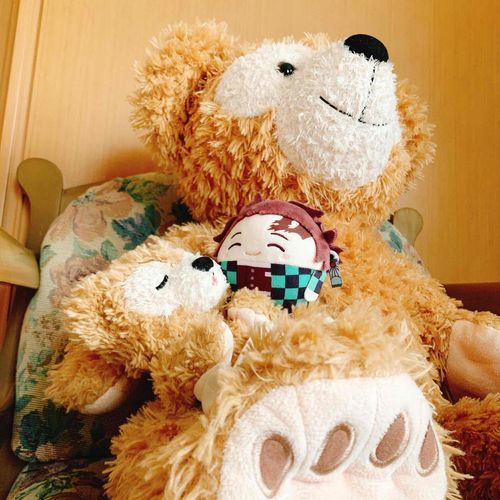 おれはまつたろ🏠のふわじろ(長男)です！
いつも体幹つよつよ超なんって呼ばれてます！むんっ！