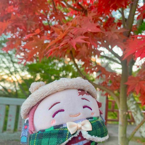 まつたろ🏠のふわじろです。
急に山に連れてこられました。寒かったのでこの間作った🧦帽子があって良かったです！