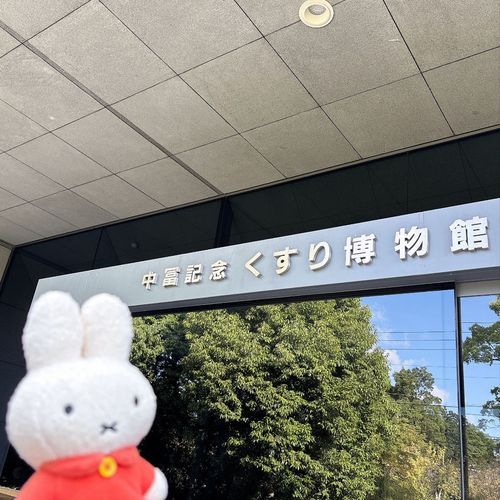 おくすりの れきし おもしろくて じかんぎりぎり…