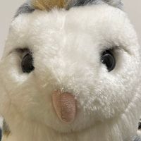 メンくん