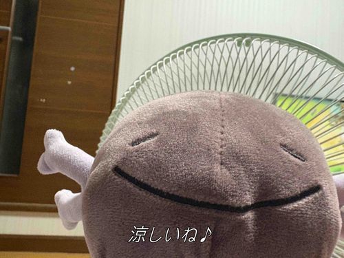 うちにいるウパーちゃんです