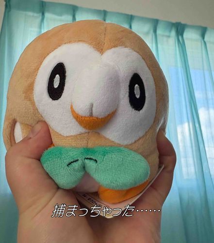 捕獲した際