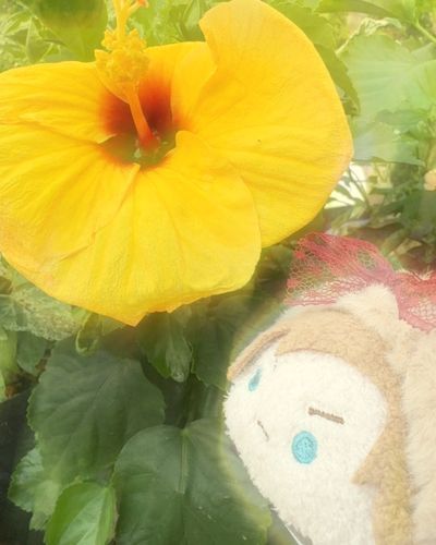 夢の中みたいになっちゃった