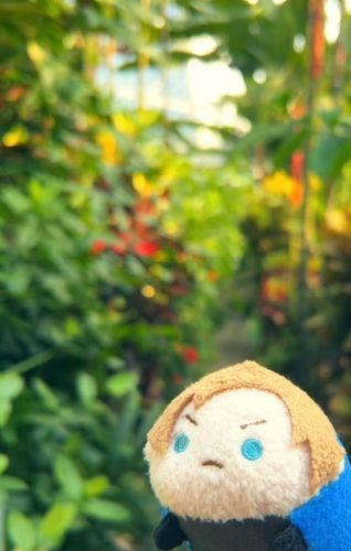 胸ときめいていたあの頃のように……
(なんかコラみたいになっちゃった)