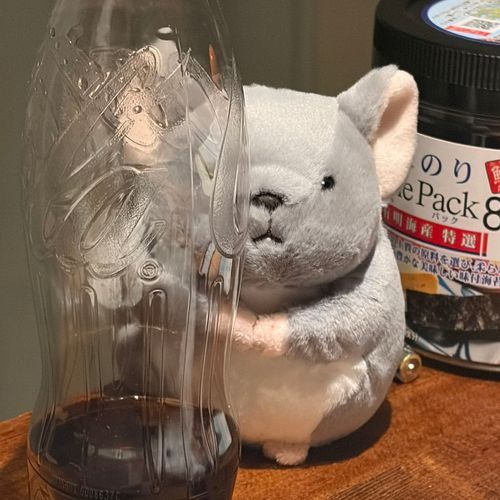 出身：Amazon
趣味：のぞくこと